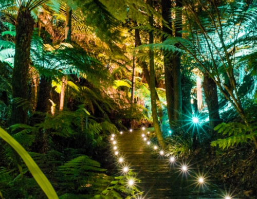 Australian National Botanic Gardens, Canberra - ACT